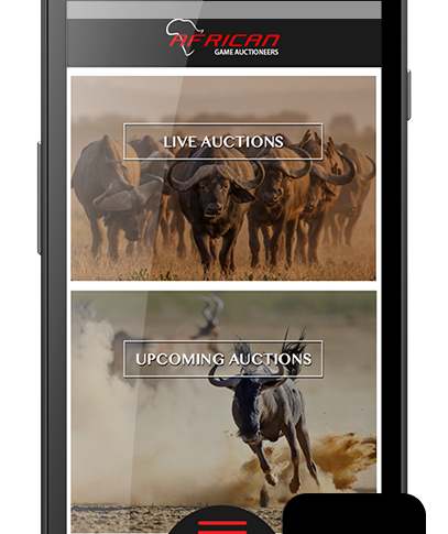 African-Game