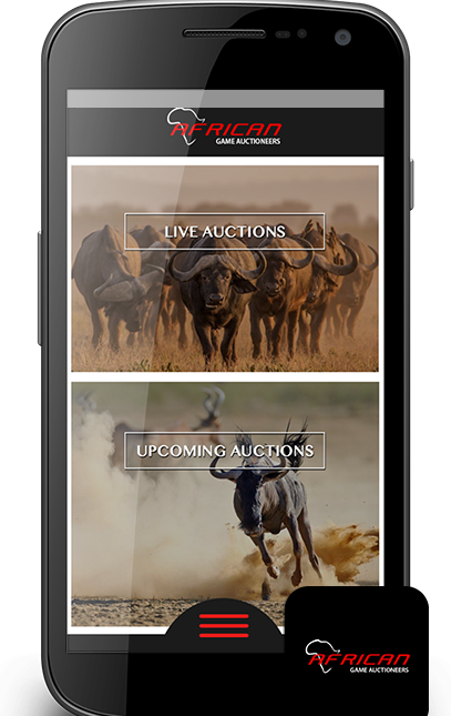 African-Game